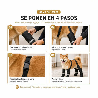 Botas impermeables para perro | Menos limpieza después del paseo