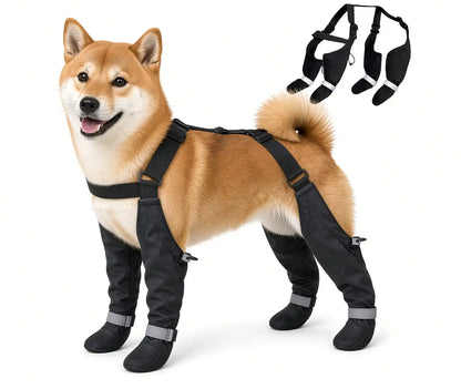 Botas impermeables para perro | Menos limpieza después del paseo