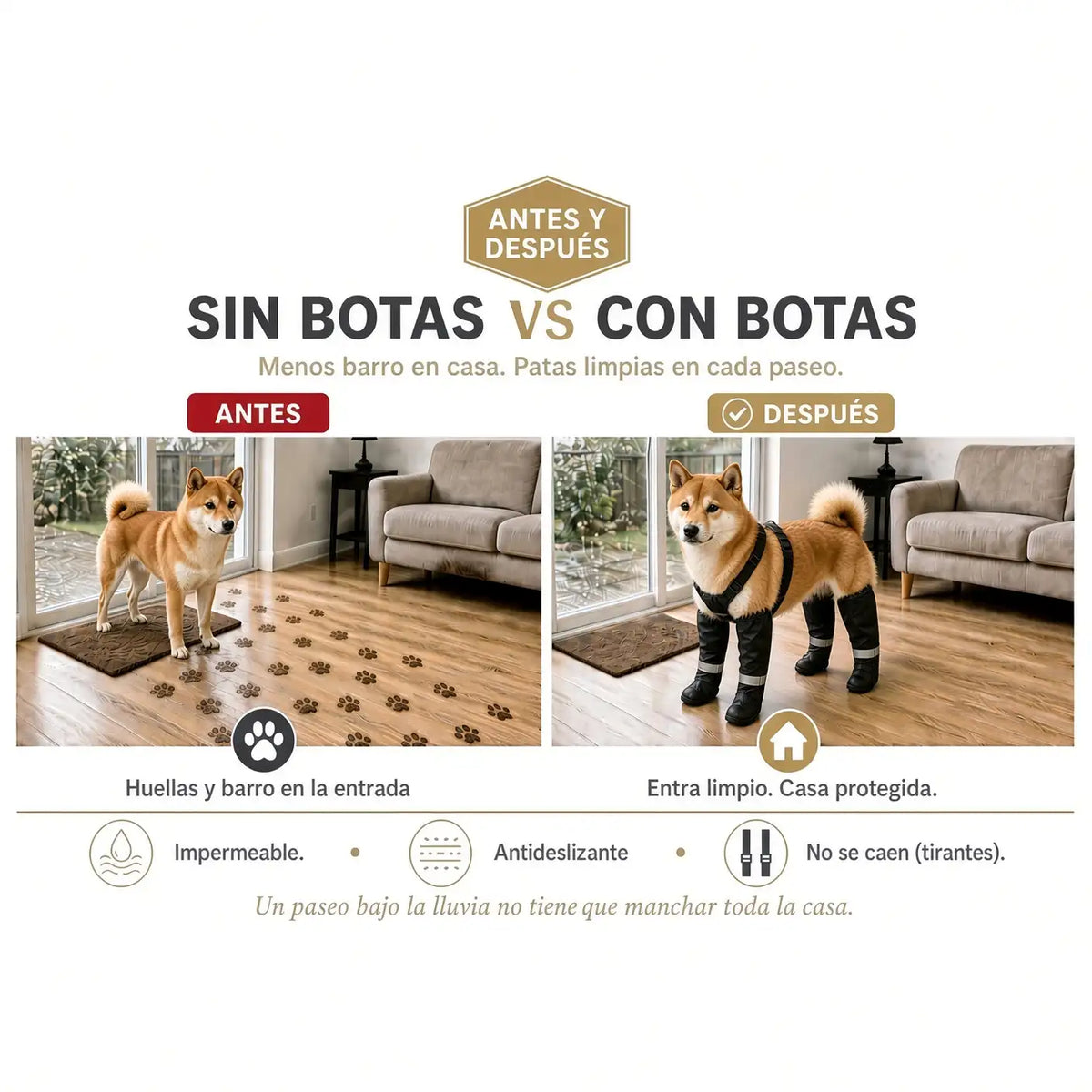 Botas impermeables para perro | Menos limpieza después del paseo